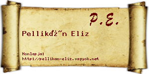 Pellikán Eliz névjegykártya